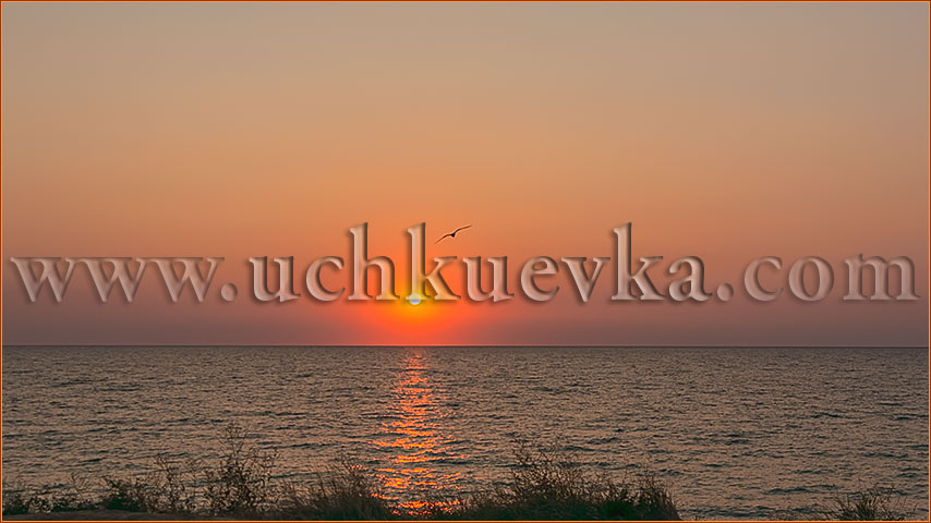 :   
